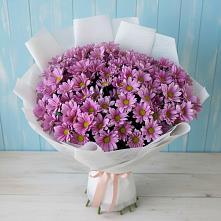 Букет цветов из:  Хризантемы в Оранжереях