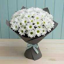 Букет цветов из:  Хризантемы в Оранжереях