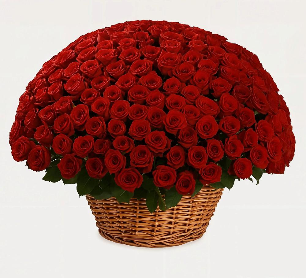 Премиум букет из: Розы в Оранжереях