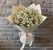 Букет цветов из:  Ромашки в Оранжереях
