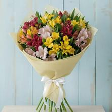 Букет цветов из:  Альстромерии в Оранжереях