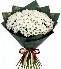 Букет цветов из:  Хризантемы в Оранжереях