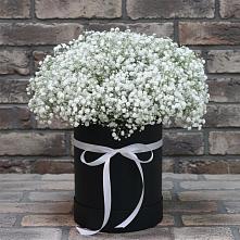 Цветочная композиция из Гипсофила в шляпной коробке в Оранжереях