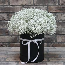 Цветочная композиция из Гипсофила в шляпной коробке в Оранжереях